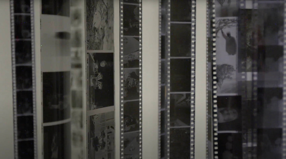 INTERVIEWS: Lazarus Lab - Film House