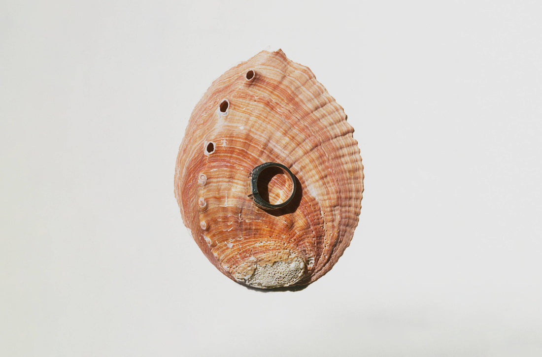 BEHIND THE BRAND: Celebrating World Environment Day