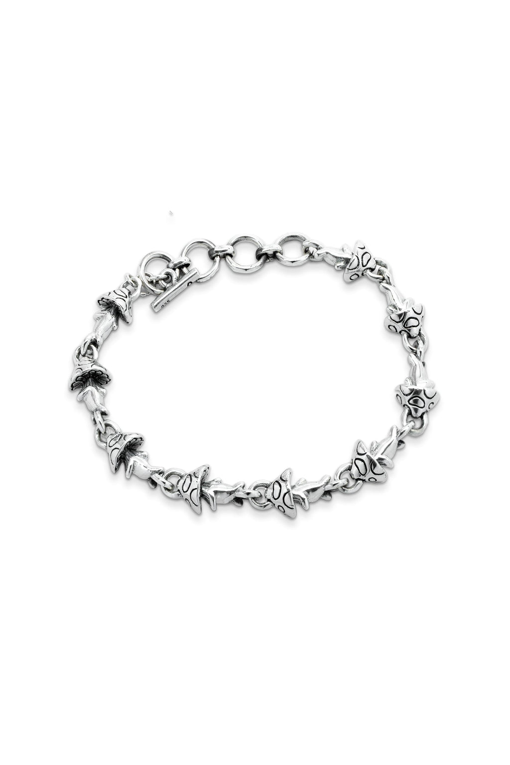 Psilocybe Cubensis Chain