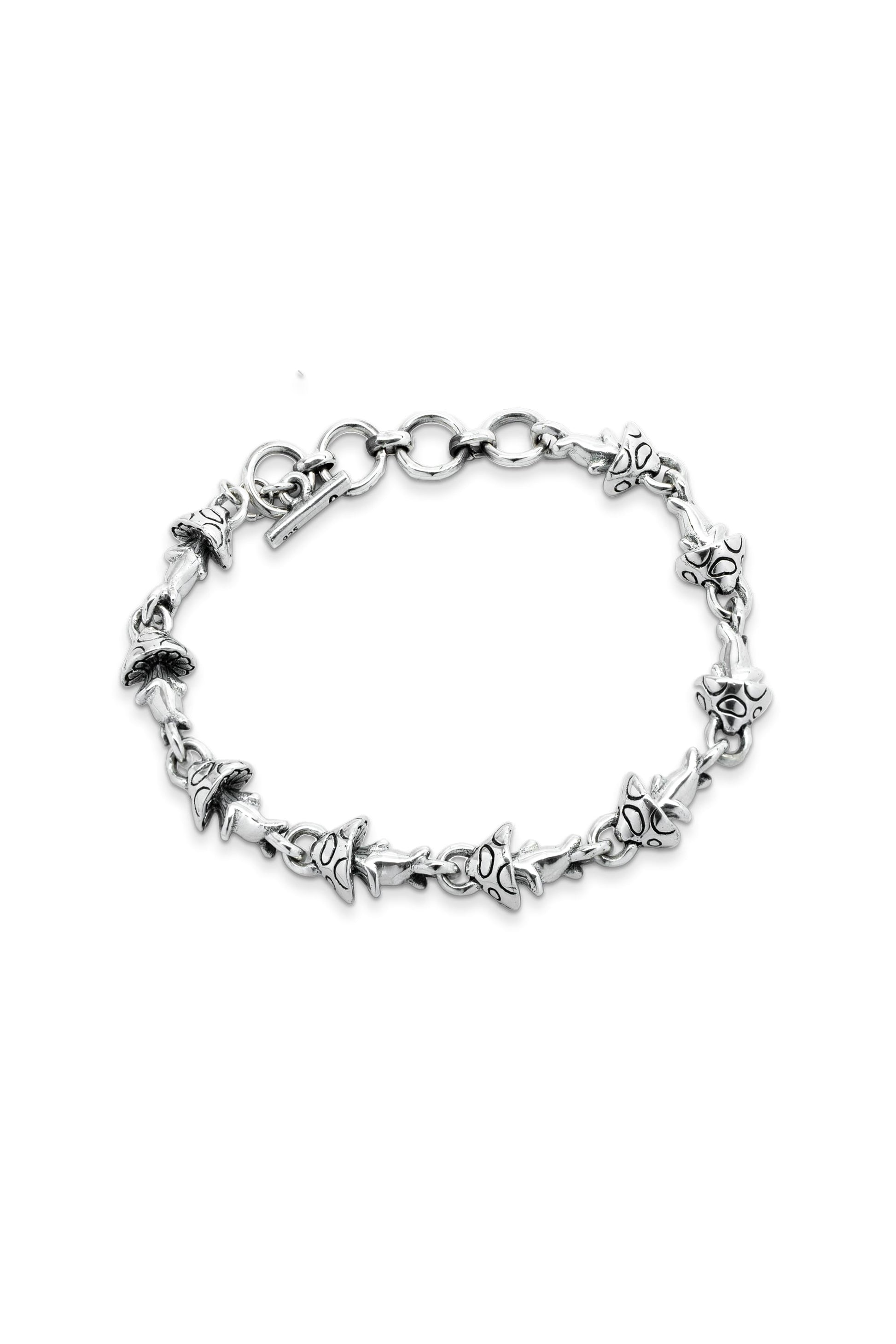 Psilocybe Cubensis Chain