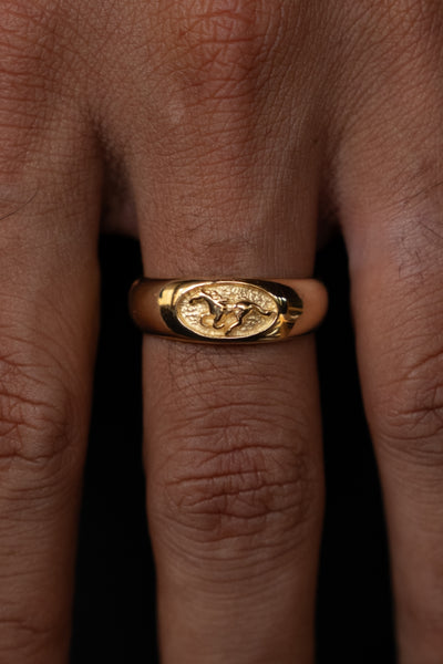 Stallion Ring | Gold