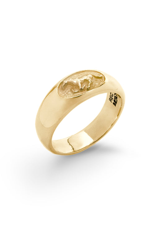 Stallion Ring | Gold