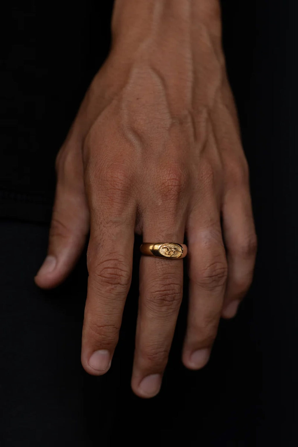 Stallion Ring | Gold