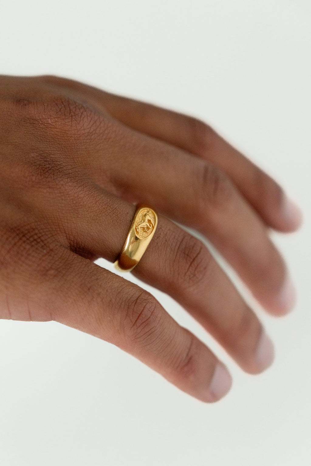 Stallion Ring | Gold