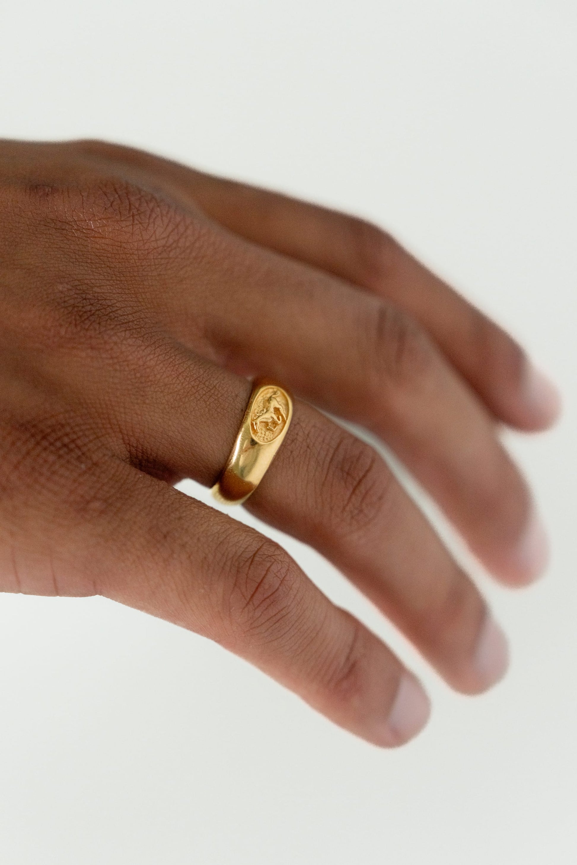 Stallion Ring | Gold