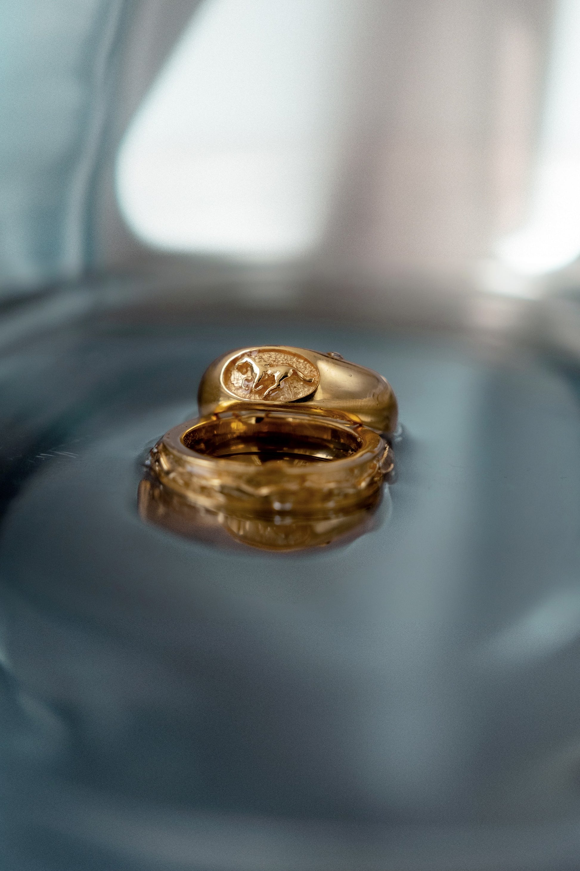 Stallion Ring | Gold