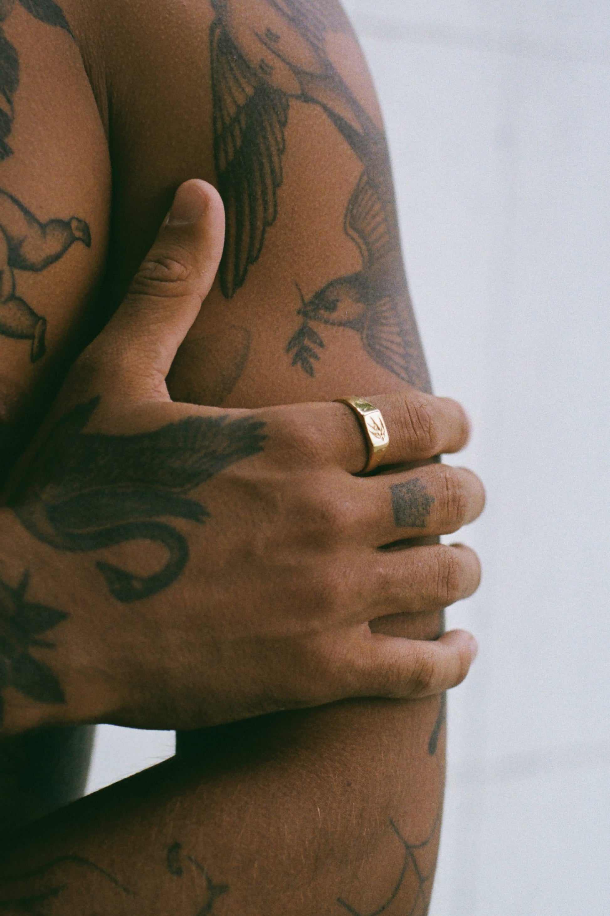 Swallow Signet | Gold