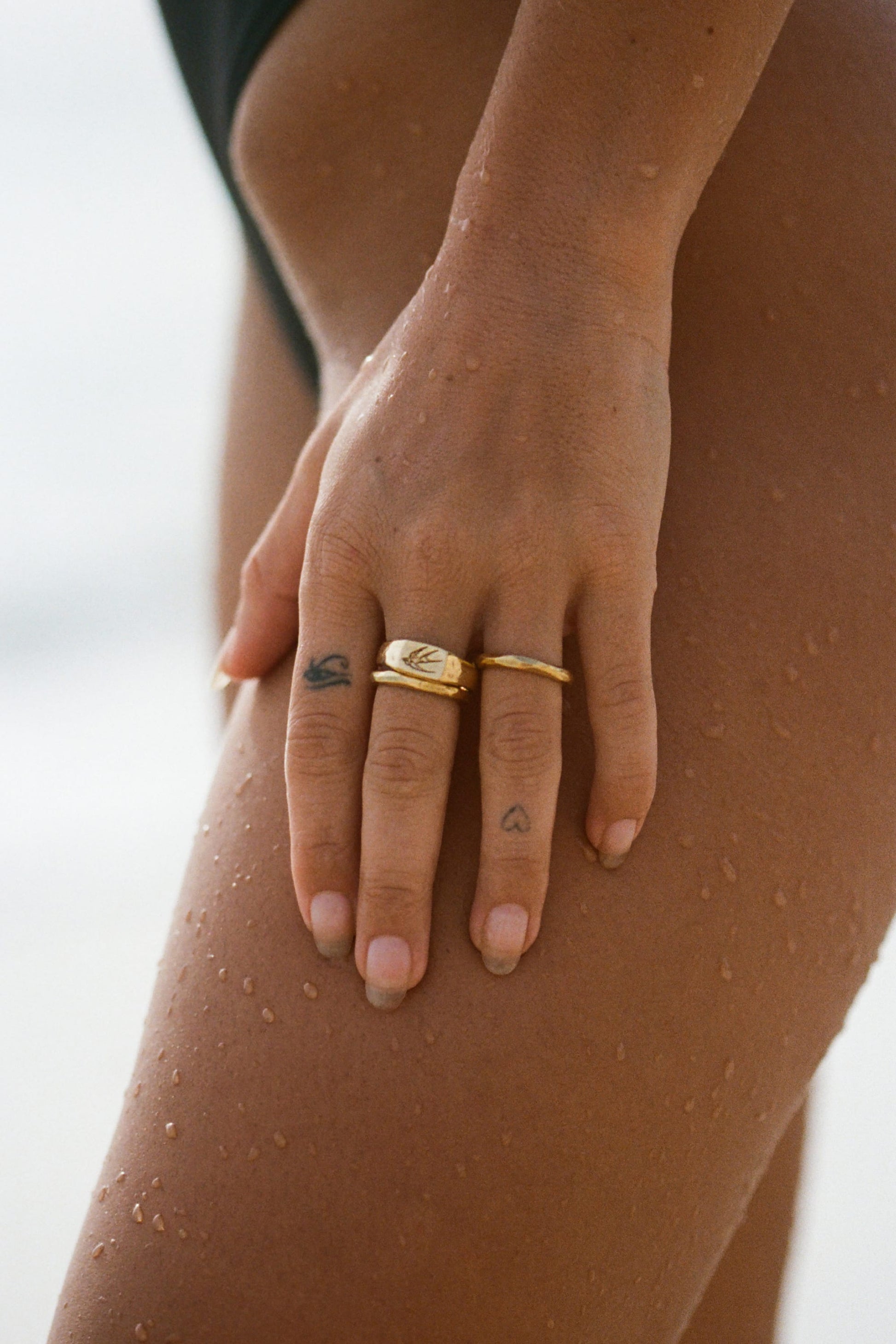 Swallow Signet | Gold