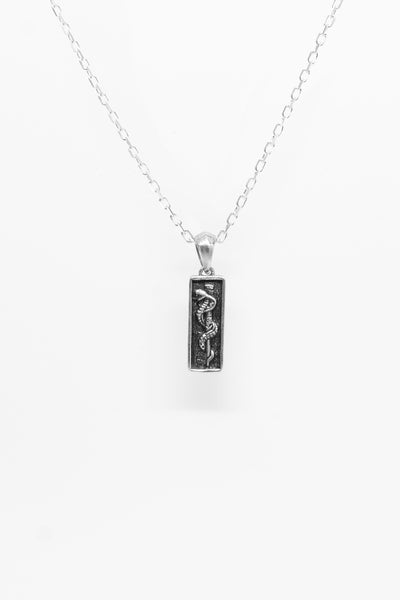 Switch Pendant